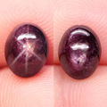 3.60Ct. Star Ruby Natural Oval Cabochon Purplish Red 6 Rays Amazing Madagascar