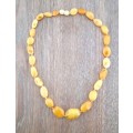 19` Beautiful Genuine Baltic Amber **Egg York**Cleopatra Choker Necklace for Woman
