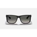 Ray-Ban Justin Classic Sunglasses  size 54mm RB4165**Polarized**