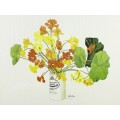 Sandra Tomella - Pair of flower arrangements - Beautiful prints!! Low price!! Bid now!!