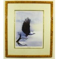 Keith Joubert - Limited edition Lithoprint - African Fish Eagle - Offered at a low price!! Bid now!