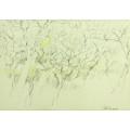 Cobis - Abstract trees - A beautiful pencil drawing!! Bid now!!