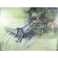 Pam Guhrs - Eagle in flight - Investment art! A true beauty, bid now!!
