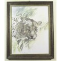 Joan Beuche - Leopard - A beautiful framed print!! - Giveaway price! - Bid now!!