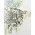 Joan Beuche - Leopard - A beautiful framed print!! - Giveaway price! - Bid now!!