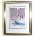 Keith Joubert - Limited edition Litho - White fronted bea-eater - Offered at a low price!! Bid now!