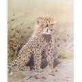 Vic Andrews - Cheetah cub - Stunning!! - Offered at a low price!! Bid now!