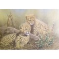 Vic Andrews - Pair of cheetah cubs - Stunning!! - Offered at a low price!! Bid now!