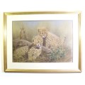 Vic Andrews - Pair of cheetah cubs - Stunning!! - Offered at a low price!! Bid now!