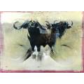 Keith Joubert - Limited edition lithoprint - The Cape Buffalo - Offered at a low price!! Bid now!