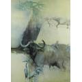 Keith Joubert - Limited edition lithoprint - Buffalo - Offered at a low price!! Bid now!