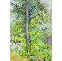 EJ Macadam - Pioneer house - A beautiful watercolor! - Bid now!