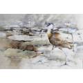 Barbara Siedle - Bird on a Pond  - Watercolor - A lovely piece!! Bid now!!