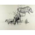Mark Enslin - Warthogs - A stunning drawing!! Bid now!
