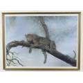 Henk Vos - Leopard in a tree - A beautiful print!! Bid now!