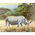 Neil Dingler - Rhino in the veld - A beautiful painting!! Bid now!!