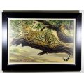 Brian Scott Dawkins - Leopard - A beautiful limited edition oleograph at a giveaway price, bid now!!