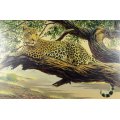 Brian Scott Dawkins - Leopard - A beautiful limited edition oleograph at a giveaway price, bid now!!