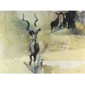 Keith Joubert - Limited edition lithoprint - The Greater Kudu - Low price! Bid now!