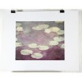 Poster - Claude Monet - Ninfee Waterlillies - Beautiful! - Bid now!!