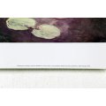 Poster - Claude Monet - Ninfee Waterlillies - Beautiful! - Bid now!!