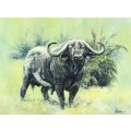 McAllister - Buffalo - Oil painting - A beauty, bid now!!