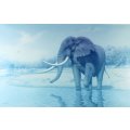 Vic Andrews - Mandleve _ Last of the great tuskers - A beautiful print!! Bid now!