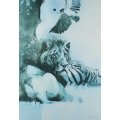 Keith Joubert - Lion - A stunning limited edition print - Bid now!!