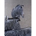 Stevan de Shetler - Zebra`s - A stunning limited edition print - Bid now!!