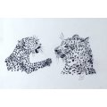 Paul`s - Baby cheetah - A lovely little signed print! - Bid now!