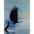 Keith Joubert - Limited edition lithoprint - Signed -  African Fish Eagle - Beautiful! Bid now!