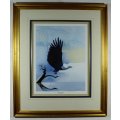 Keith Joubert - Limited edition lithoprint - Signed -  African Fish Eagle - Beautiful! Bid now!