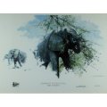 David Shepherd - Limited edition lithoprint - Signed - Elephant in the Acacia - Beautiful! Bid now!