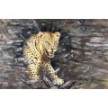 Charl Moller - Angry leopard - Stunning art!! Bid now!!
