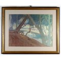 Pierneef - Trees at the river - Iconic scene - A beautiful print!! Bid now!
