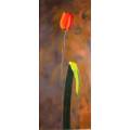 Munro - Red & orange tulip with green leaf to the right - Beautiful!! Bid now!!