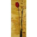 Munro - Red tulip with a dramatic backdrop - Beautiful!! Bid now!!