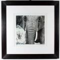 Veronica Coetzer - Postcards from Africa - Elephant - A beautiful print! - Bid now!