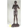 Woman Holding a Tortoise - Cast - Lovely Display Piece!! Low price!!- Bid now!!