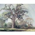 Pierneef - Large tree - Iconic scene - A beautiful print!! Bid now!