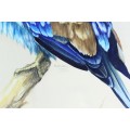 R Buric - Colorful bird with blue & brown feathers - Beautiful art! - Bid now!