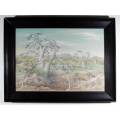 Barbara Tyrell - Landscape with Baobab`s - A lovely painting - Bid now!
