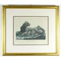 J Wilkes - Vintage reproduction print - Lioness with welps - A lovely treasure! - Bid now!