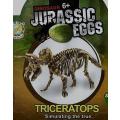 Box Set of 5xJurassic Eggs 3D Skeleton Assembly Set