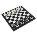 Magnetic Chess Board And Pawns