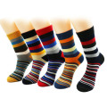 Multi Color Socks (2 pairs)