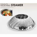 Vegetable Steamer