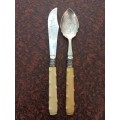 Preserve Set (Spoon and Knife)