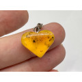 NATURAL BUTTERSCOTCH AMBER STERLING SILVER PENDANT ON CHAIN
