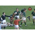1994 Springbok rugby touch-judge flag. South Africa vs England